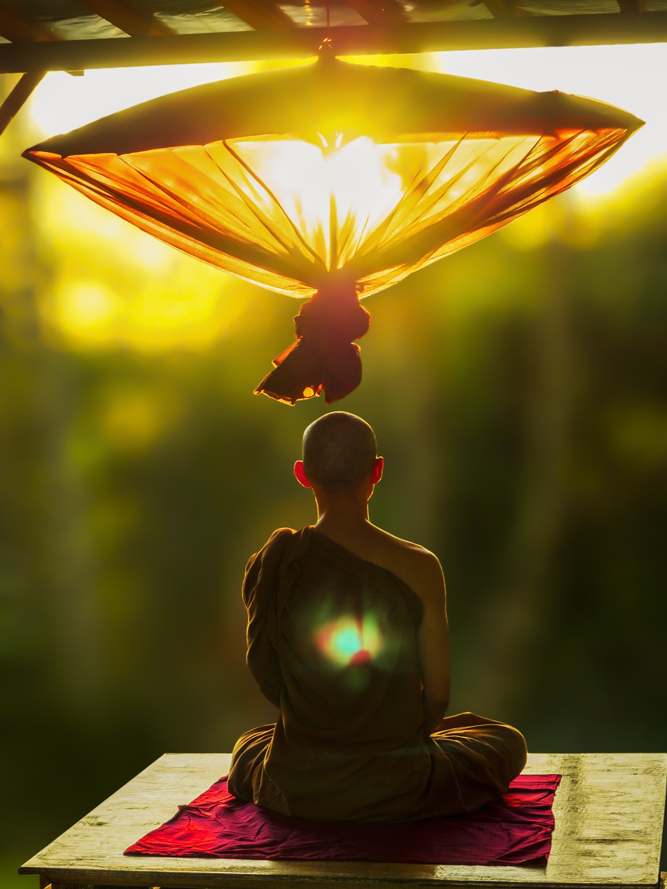 theravada buddhism, meditate, umbrella